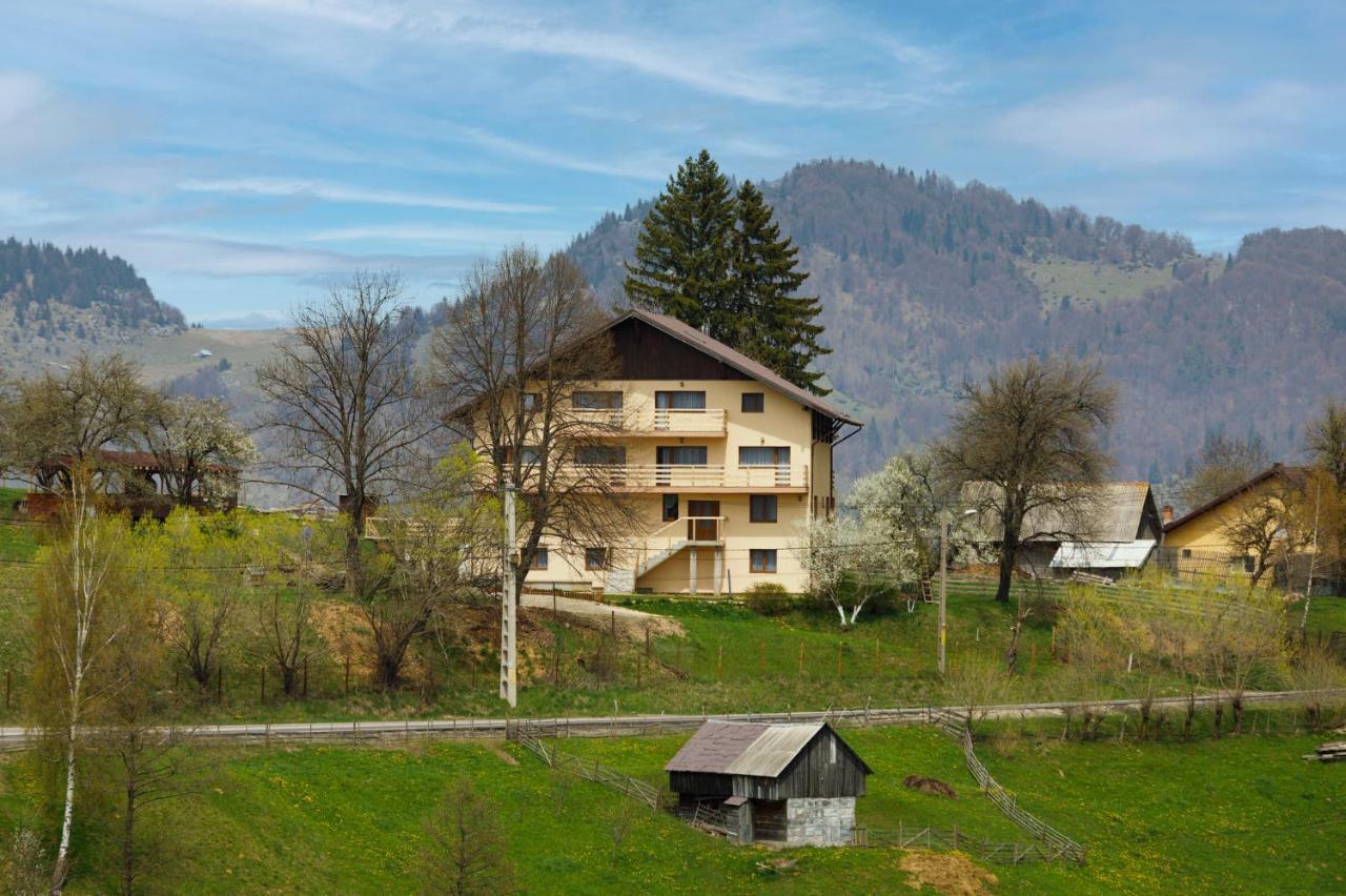Transylvanian House Drumu Carului Eksteriør bilde